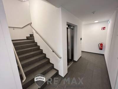 Wohnung kaufen in 1230 Wien (Bild 4)