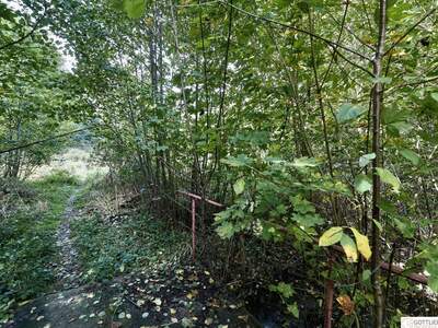 Grundstück kaufen in 3031 Pressbaum (Bild 5)