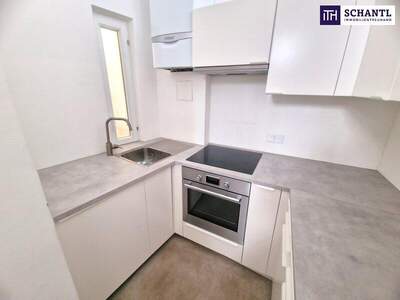 Haus kaufen in 1130 Wien (Bild 2)