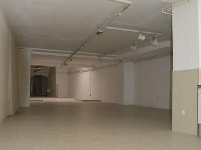 Gewerbeobjekt mieten in 5400 Hallein (Bild 4)