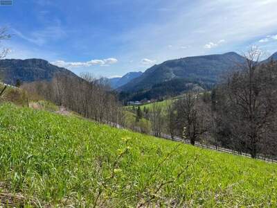 Grundstück kaufen in 8630 Mariazell