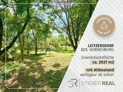 Grundstück kaufen in 2003 Leitzersdorf