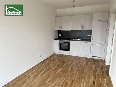 Terrassenwohnung mieten in 8020 Graz (Bild 3)