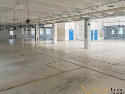 Gewerbeobjekt mieten in 4052 Ansfelden (Bild 4)