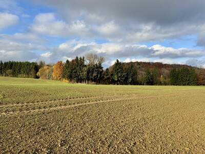 Grundstück kaufen in 4694 Ohlsdorf (Bild 4)