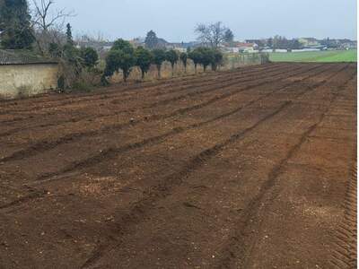 Grundstück kaufen in 2294 Marchegg (Bild 1)