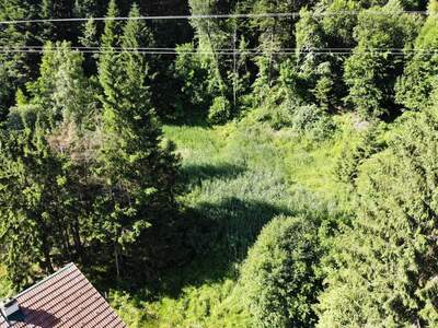 Grundstück kaufen in 8132 Pernegg (Bild 4)