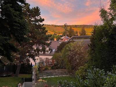 Haus provisionsfrei kaufen in 1190 Wien