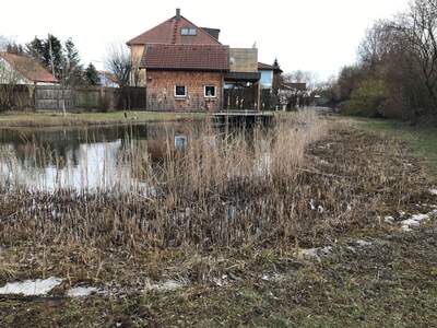 Grundstück kaufen in 4020 Linz (Bild 5)