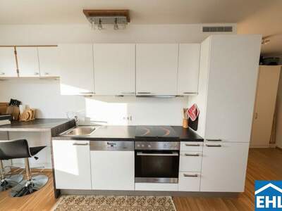 Terrassenwohnung mieten in 1220 Wien (Bild 2)