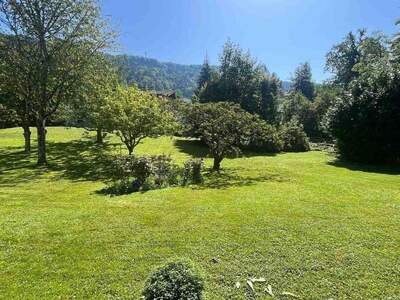 Grundstück kaufen in 6911 Lochau