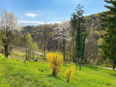 Grundstück kaufen in 8462 Kranach