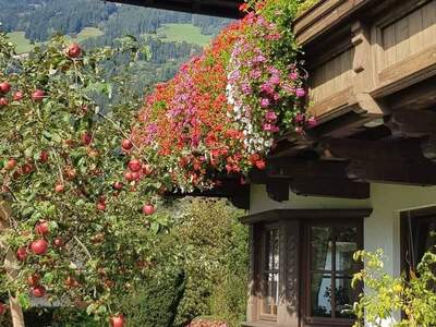 Haus provisionsfrei kaufen in 6280 Zell