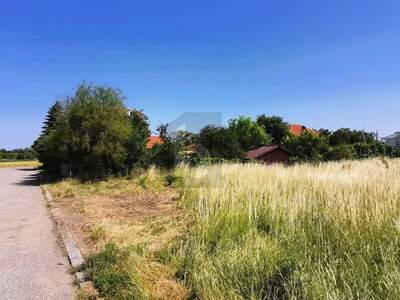 Grundstück kaufen in 7082 Donnerskirchen (Bild 5)