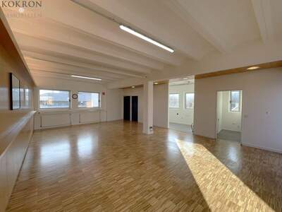 Gewerbeobjekt mieten in 1140 Wien (Bild 2)