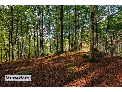 Gewerbeobjekt kaufen in 6365 Kirchberg