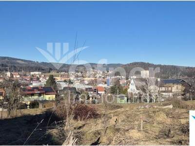 Grundstück kaufen in 8580 Pichling (Bild 1)