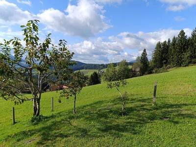 Haus kaufen in 8102 Semriach (Bild 5)