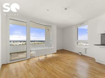 Wohnung kaufen in 1100 Wien