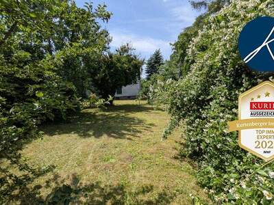 Einfamilienhaus kaufen in 2020 Hollabrunn (Bild 4)