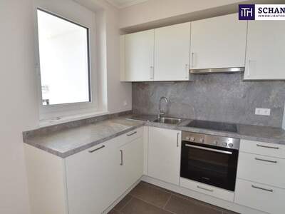 Terrassenwohnung mieten in 2320 Schwechat (Bild 3)