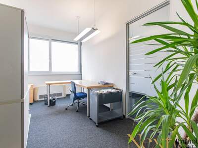 Gewerbeobjekt mieten in 4020 Linz (Bild 4)