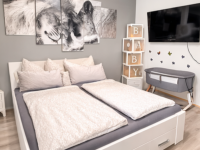 Altbauwohnung kaufen in 6800 Nofels (Bild 3)