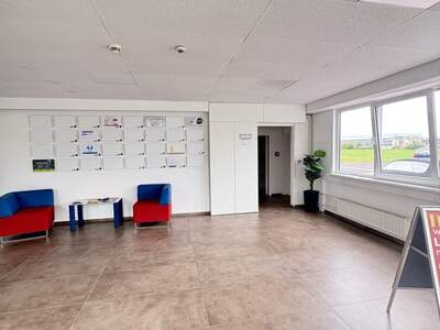 Gewerbeobjekt mieten in 4063 Hörsching (Bild 4)