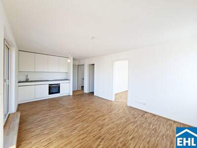Terrassenwohnung mieten in 1220 Wien (Bild 2)