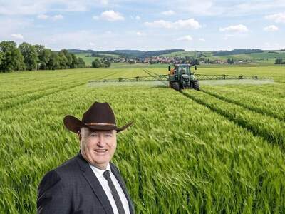 Anlageobjekt kaufen in 2120 Wolkersdorf