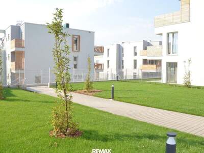 Wohnung mit Balkon mieten in 3500 Krems
