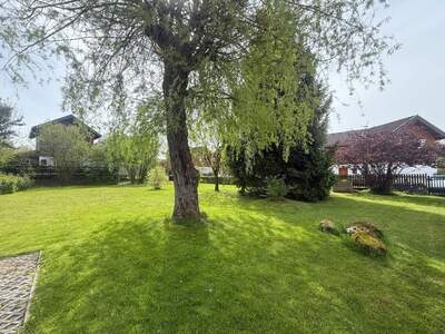 Haus mit Garten kaufen in 5202 Neumarkt (Bild 5)
