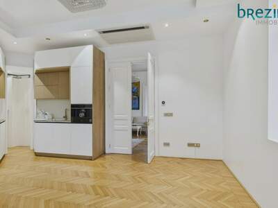 Altbauwohnung kaufen in 1090 Wien (Bild 1)