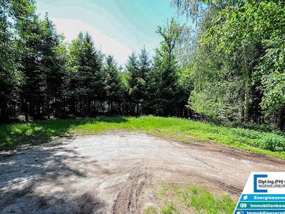 Gewerbeobjekt kaufen in 4761 Enzenkirchen (Bild 1)