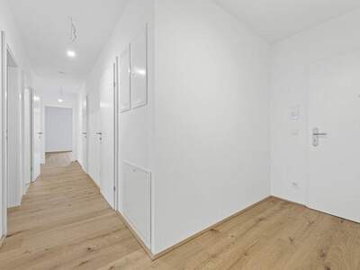 Terrassenwohnung kaufen in 2540 Bad Vöslau (Bild 5)