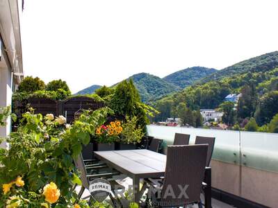 Terrassenwohnung kaufen in 2391 Kaltenleutgeben (Bild 3)