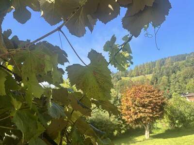 Wohnung mieten in 6373 Jochberg (Bild 3)