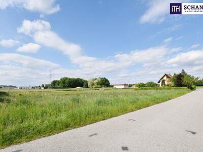 Grundstück kaufen in 8430 Leibnitz (Bild 2)