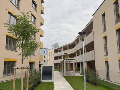 Wohnung mieten in 2700 Wiener Neustadt