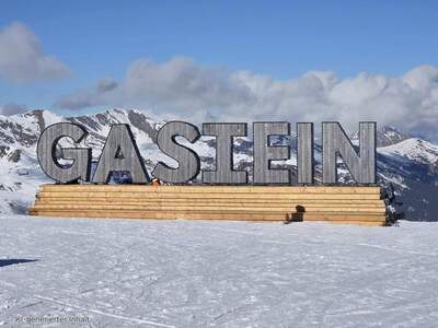 Wohnung kaufen in 5640 Bad Gastein