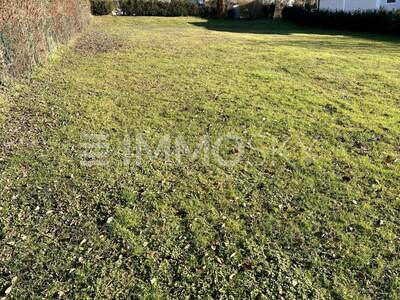 Grundstück kaufen in 4491 Niederneukirchen (Bild 2)