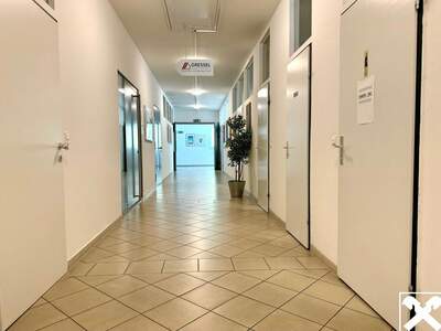 Gewerbeobjekt mieten in 9130 Poggersdorf (Bild 3)