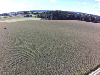 Gewerbeobjekt kaufen in 5134 Schwand