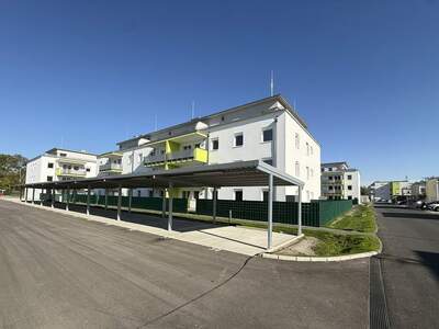 Terrassenwohnung kaufen in 2442 Unterwaltersdorf (Bild 3)