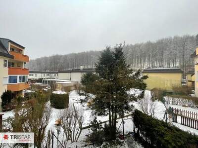 Wohnung kaufen in 3001 Mauerbach