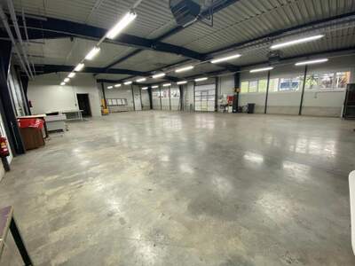 Produktion mieten in 3250 Wieselburg (Bild 1)