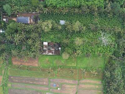 Grundstück kaufen in 80572 Puhu (Bild 4)