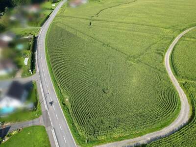 Gewerbeobjekt kaufen in 8421 Breitenfeld (Bild 1)