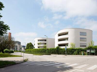 Wohnung mieten in 4600 Wels (Bild 2)