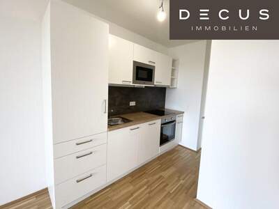 Terrassenwohnung mieten in 1220 Wien (Bild 3)